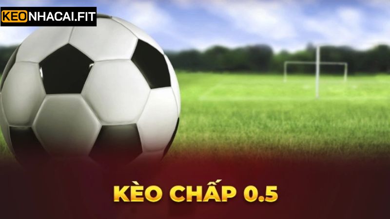 Chia sẻ phương pháp đọc kèo chấp 0.5 hiệu quả