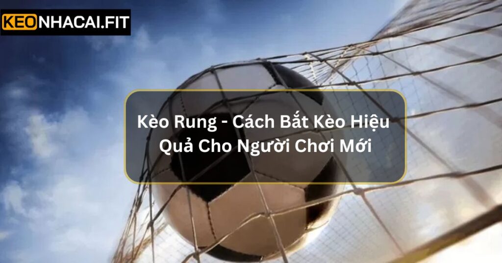 Kèo Rung - Cách Bắt Kèo Hiệu Quả Cho Người Chơi Mới