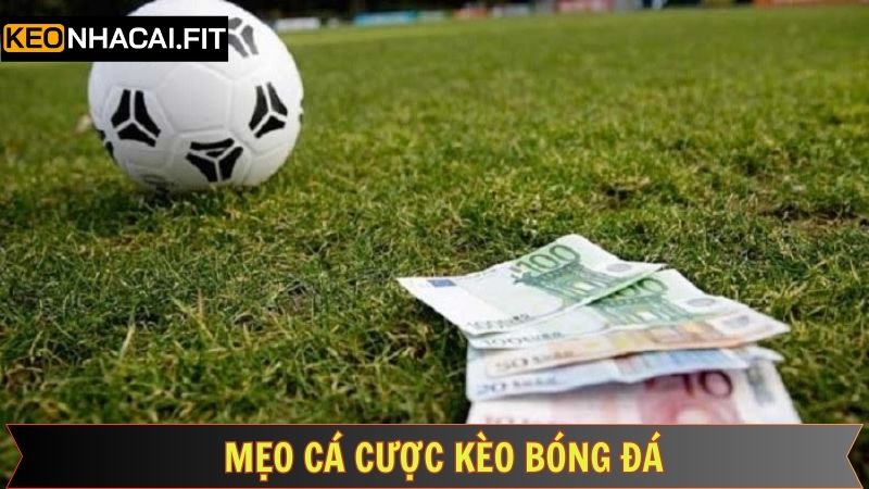 Kinh nghiệm đáng để tham khảo khi cược bóng đá