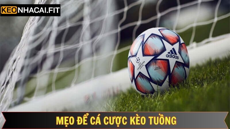Những mẹo nên áp dụng khi tham gia cược tuồng