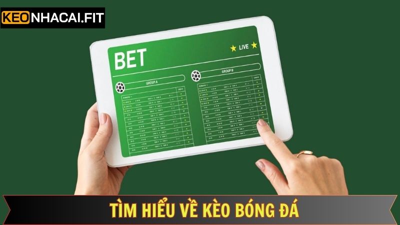 Thông tin cần nắm về hình thức kèo cược bóng đá