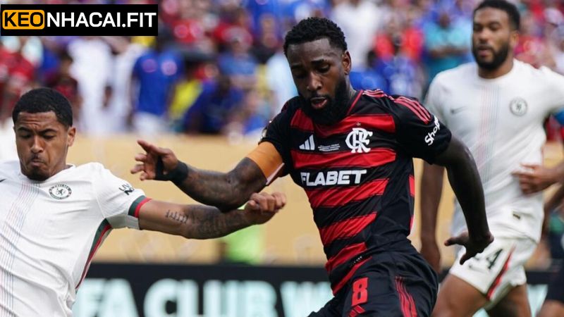 Lịch sử đối đầu đội Los Angeles FC vs Flamengo